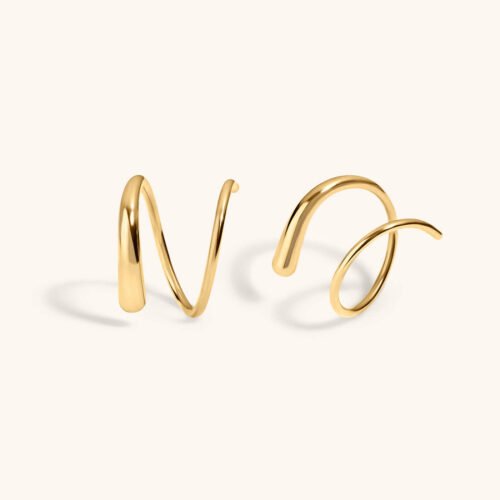 Classic Twirl Earrings in Titanium
