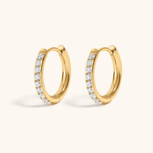 Eternity Hoop Earrings in Titanium